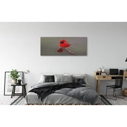 tulup.si Slika na platnu Rdeča papiga na veji 140x70 cm