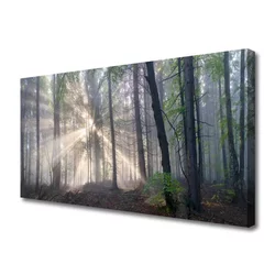 tulup.si Slika na platnu Narava gozdnega drevja 140x70 cm