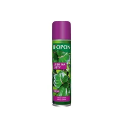 Bopon sijaj - 250 ml razpršilo BROS