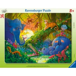 Ravensburger slagalica džungla, slagalica sa ovnom, 35 ??delova
