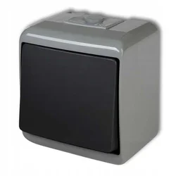 JUNIOR enopolno stikalo, sivo/grafitno IP54, 30WHE-1