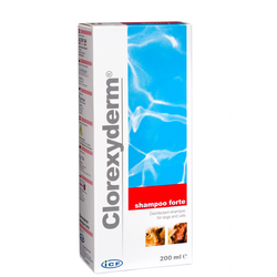 CLOREXYDERM Šampon forte 200ml