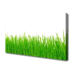 tulup.si Slika na platnu Grass nature rastlin 120x60 cm