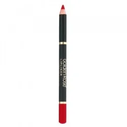 Golden Rose Olovka za usne, Berry Stain 231