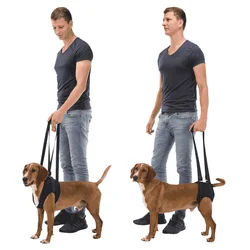Trixie Pojas za pomoć pri kretanju Dog Walking Aid - L