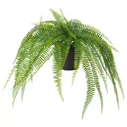FEJKA Veštačka biljka u saksiji, unutra/spolja viseće/paprat, 12 cm