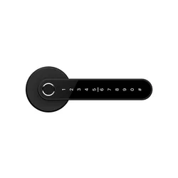 Electronic locks Apecs EL-24-BWFCP-B (w/o body)