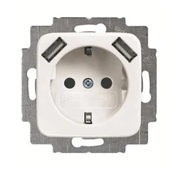Busch-Jaeger Busch-Jaeger SCHUKO-2x vtičnica USB 20 EUCB2USB-214, (20888294)