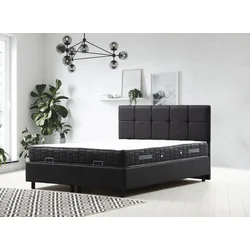 Hanah Home Francuski ležaj Vitalia, 140x114x200 cm, Antracit