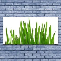 tulup.si Steklena slika Grass on wall 140x70 cm 2 obešalnika