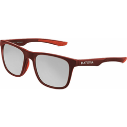 Delphin Polarised Sunglasses SG ATOMA