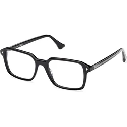 Web WE5463 005
