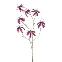 Gloriosa zlata vijolčna 108 - 101 do 150 cm