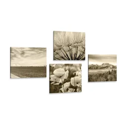 Set slik sepia dežela z rožami - 4x 40x40