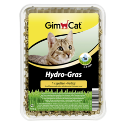 Gimcat Hydro-Gras - hidrirana trava za mačke 100g