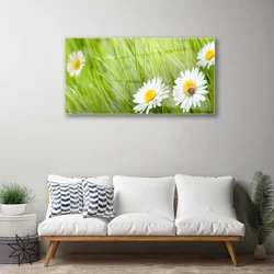 tulup.si Steklena slika Grass daisies narava 100x50 cm 2 obešalnika