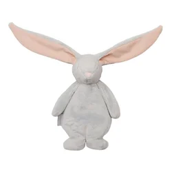 Moonie sensory zeka, Cloud