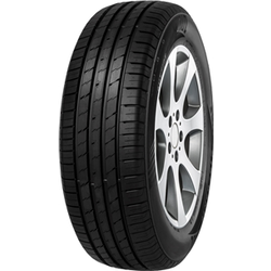 Imperial Ecosport SUV ( 225/55 R19 99V )