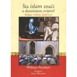 Šta islam znaei u današnjem svijetu?