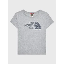 The North Face Majica Graphic NF0A7X5B Siva Regular Fit