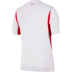 Nike Dres Aero-FIT Turkey Match Away 2026
