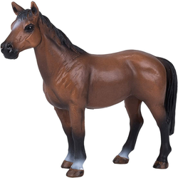 Mojo Trakehner konj