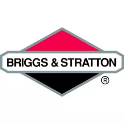 Briggs&Stratton ulje za 4-taktne motore Briggs & Stratton, 2 l