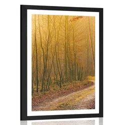 Plakat s paspartujem steza v gozd - 20x30 silver