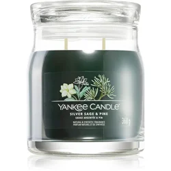 Yankee Candle Silver Sage & Pine