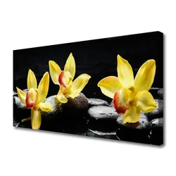 tulup.si Slika na platnu Cvet orhideje rastlin 125x50 cm