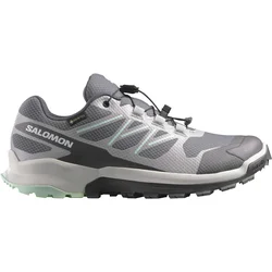 Salomon XA FLYER GTX W, ženske patike za trail trčanje, siva L47972000