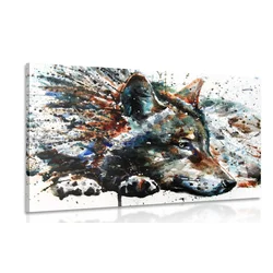 Slika volk v akvarel izvedbi - 60x40