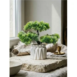 Sinsay - Dekorativna biljka u saksiji – bonsai drvo - zeleno
