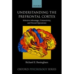 Understanding the Prefrontal Cortex