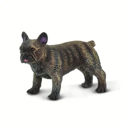 Safari Francoski buldog