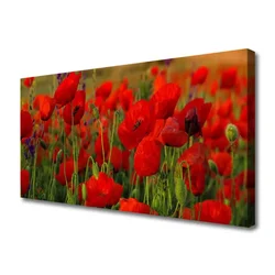 tulup.si Slika na platnu Rastlinskih mak naravi 140x70 cm