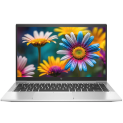 Obnovljen HP EliteBook 845 G7 AMD Ryzen 5 Pro 4650U, 8GB, 256GB, Silver, Windows 11 Home