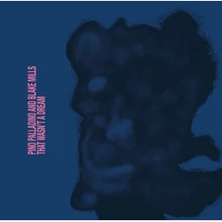 Pino Palladino And Blake Mills - That Wasnt A Dream (LP)