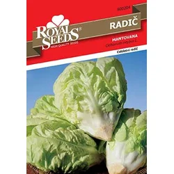 Seme Royal 204, radič mantovana