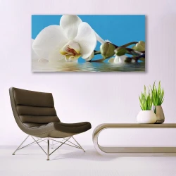 tulup.si Steklena slika Narava cvet rastlina 140x70 cm 2 obešalnika