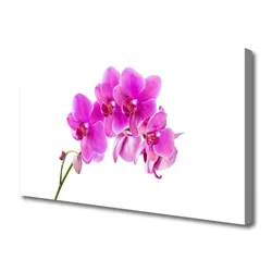 tulup.si Slika na platnu Orchid cvet orhideje 100x50 cm