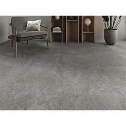 PLUS ARENITE DARK GREY 60x60
