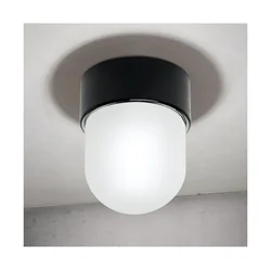 Orion - Plafonsko svetlo OSTIA 1xE27/40W/230V O 9,8 cm crno