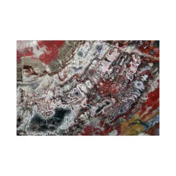 Canvas Slika na platnu Fosilizovano drvo Arizona – SAD, 50 x 75 cm