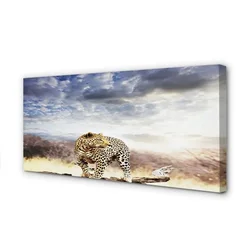 tulup.si Slika na platnu Panther oblaki 100x50 cm