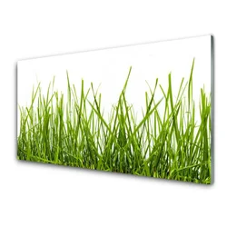 tulup.si Slika na steklu Grass nature rastlin 100x50 cm 2 obešalnika