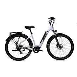 CAPRIOLO E-BIKE JOURNEY svetlo sivo 926830