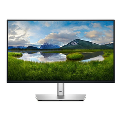 Dell P2225H 100Hz Professional IPS monitor 21.5 inch