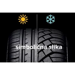 Nexen Roadian CT8 ( 205/65 R16 107/105T 8PR )