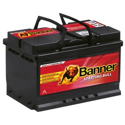 BANNER Starting Bull 562019048